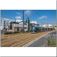 2019-08-02 T1 Mosquee de Caen 1004 01.jpg